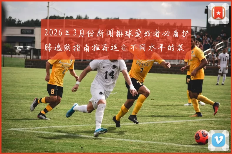 2026年3月份新闻排球爱好者必看护膝选购指南推荐适合不同水平的装备选择技巧